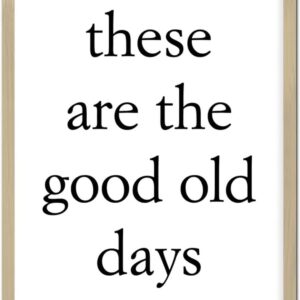 Rustic Style Wood Framed Sign with Classic Quotes These Are the Good Old Days Frame Wooden Plaque for New Home Farmhouse Porch Wall Decor 16x20inch
